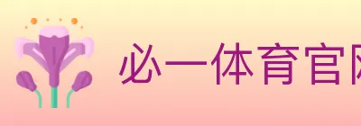 必一体育官网 Logo